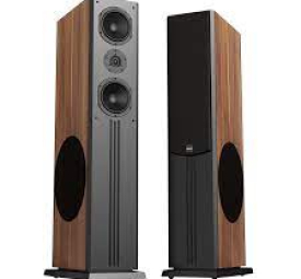 Loa Paramax D88 limited