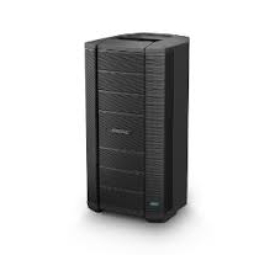 BOSE F1 812 FLEXIBLE ARRAY PASSIVE