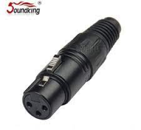 Jack canon cái Soundking CA117