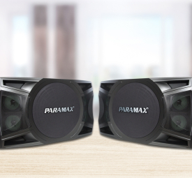 Loa Paramax MKS 1000