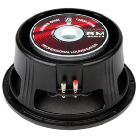 Loa Bass 30 12BM-300B