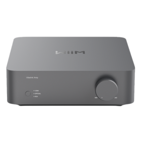 WiiM Vibelink Amp