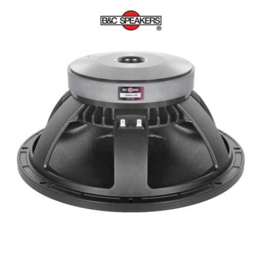 Loa 15RBX100