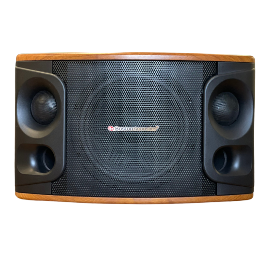 loa Boston Acoustics MD510