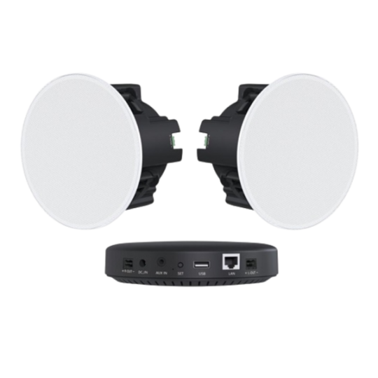 Loa âm trần Sumico CS 7